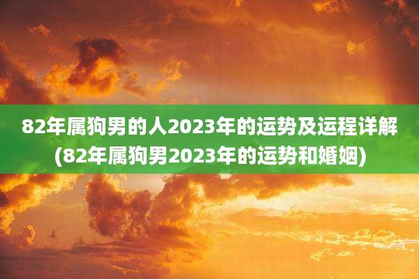 82年属狗男的人2023年的运势及运程详解(82年属狗男2023年的运势和婚姻)