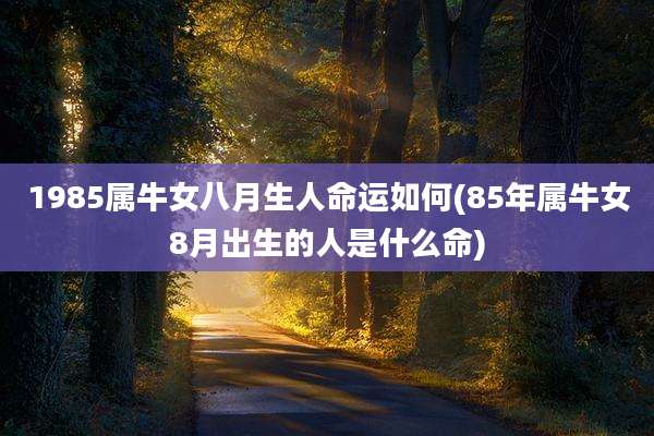1985属牛女八月生人命运如何(85年属牛女8月出生的人是什么命)