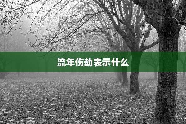 流年伤劫表示什么