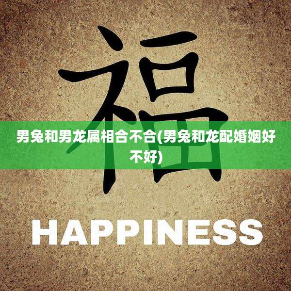 男兔和男龙属相合不合(男兔和龙配婚姻好不好)
