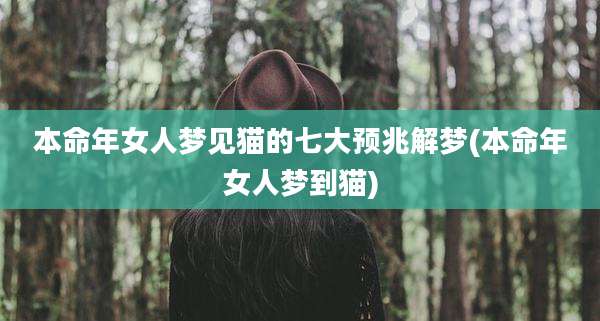 本命年女人梦见猫的七大预兆解梦(本命年女人梦到猫)