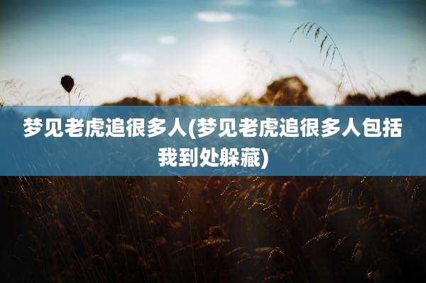 梦见老虎追很多人(梦见老虎追很多人包括我到处躲藏)