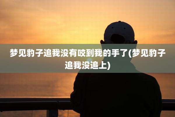 梦见豹子追我没有咬到我的手了(梦见豹子追我没追上)