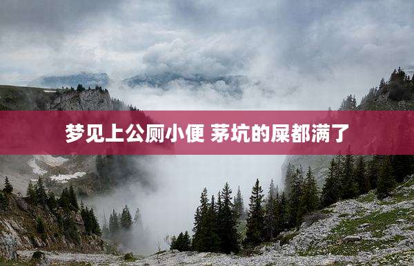 梦见上公厕小便 茅坑的屎都满了