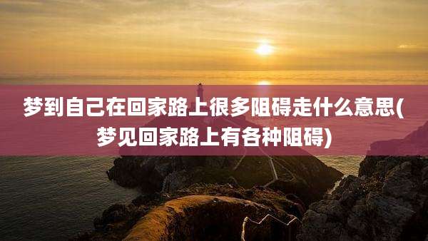 梦到自己在回家路上很多阻碍走什么意思(梦见回家路上有各种阻碍)