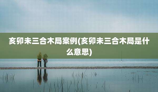 亥卯未三合木局案例(亥卯未三合木局是什么意思)