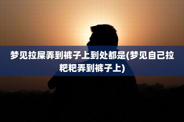 梦见拉屎弄到裤子上到处都是(梦见自己拉粑粑弄到裤子上)