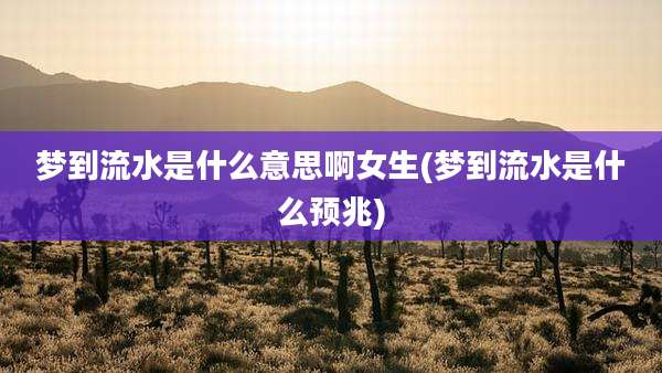 梦到流水是什么意思啊女生(梦到流水是什么预兆)