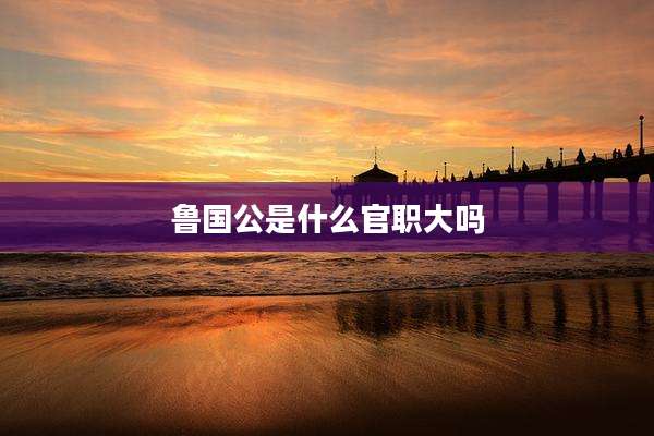 鲁国公是什么官职大吗