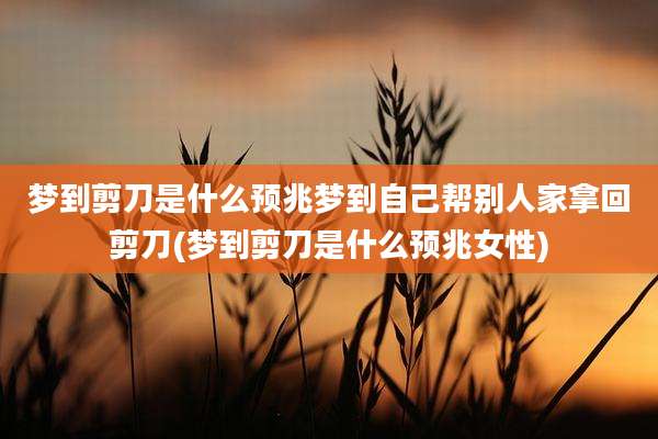 梦到剪刀是什么预兆梦到自己帮别人家拿回剪刀(梦到剪刀是什么预兆女性)