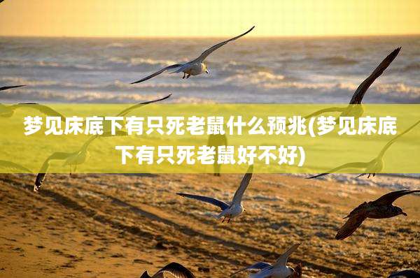梦见床底下有只死老鼠什么预兆(梦见床底下有只死老鼠好不好)