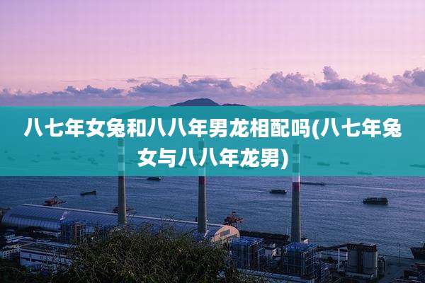 八七年女兔和八八年男龙相配吗(八七年兔女与八八年龙男)