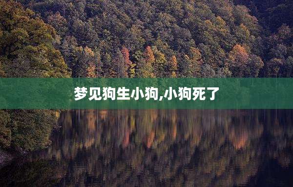 梦见狗生小狗,小狗死了