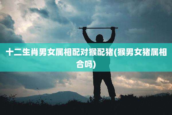 十二生肖男女属相配对猴配猪(猴男女猪属相合吗)