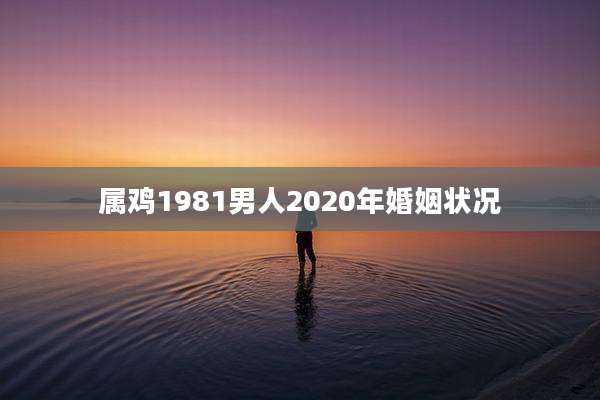 属鸡1981男人2020年婚姻状况
