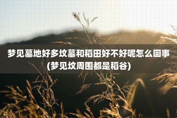 梦见墓地好多坟墓和稻田好不好呢怎么回事(梦见坟周围都是稻谷)