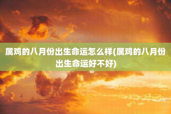 属鸡的八月份出生命运怎么样(属鸡的八月份出生命运好不好)