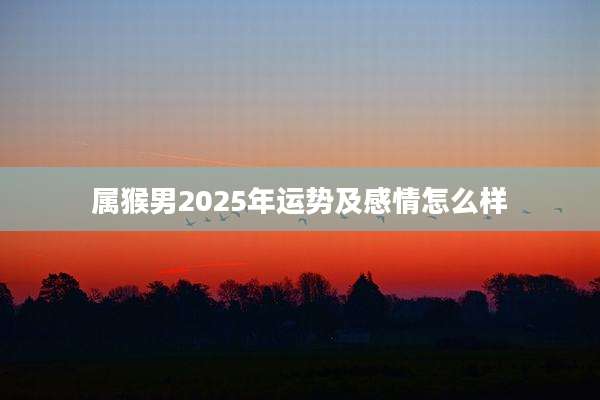 属猴男2025年运势及感情怎么样