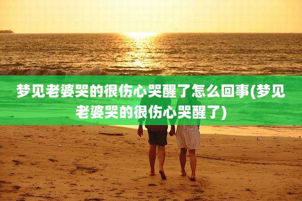 梦见老婆哭的很伤心哭醒了怎么回事(梦见老婆哭的很伤心哭醒了)