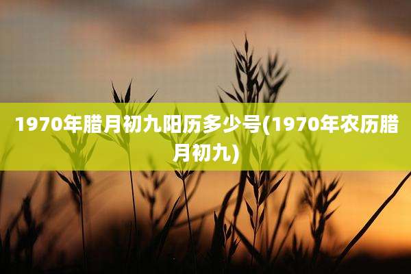 1970年腊月初九阳历多少号(1970年农历腊月初九)