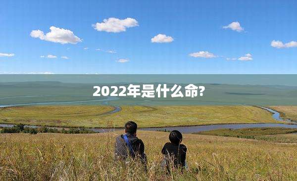 2022年是什么命?