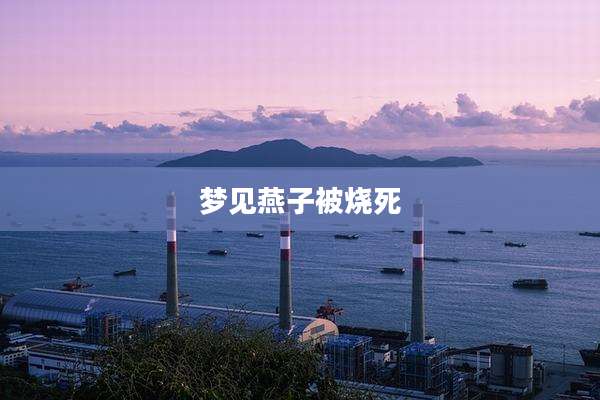 梦见燕子被烧死