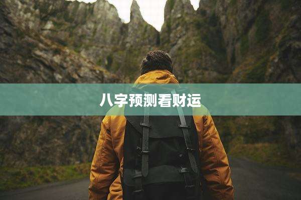 八字预测看财运