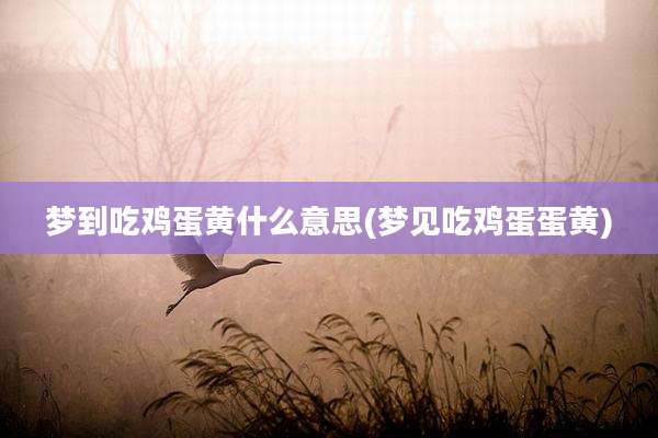梦到吃鸡蛋黄什么意思(梦见吃鸡蛋蛋黄)