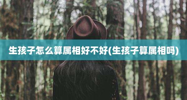 生孩子怎么算属相好不好(生孩子算属相吗)