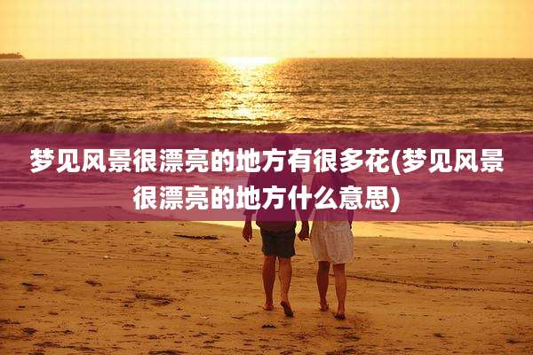 梦见风景很漂亮的地方有很多花(梦见风景很漂亮的地方什么意思)