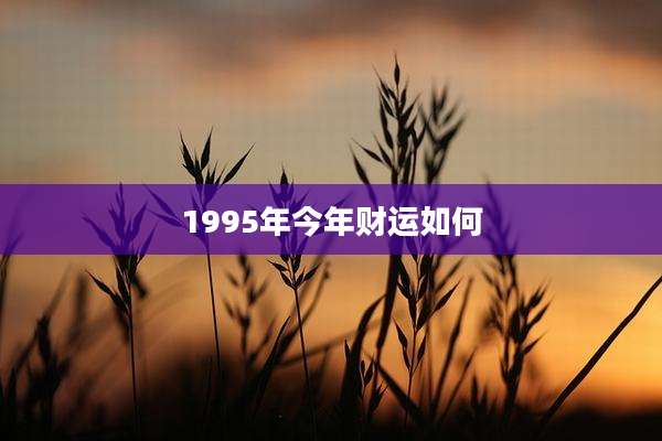 1995年今年财运如何