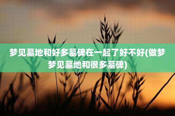 梦见墓地和好多墓碑在一起了好不好(做梦梦见墓地和很多墓碑)
