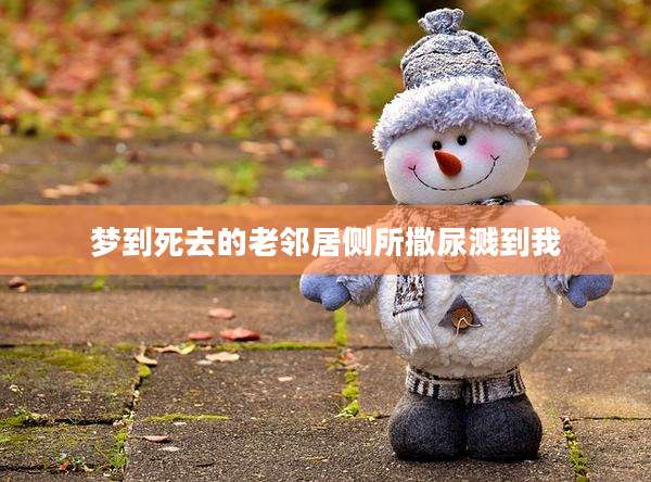 梦到死去的老邻居侧所撒尿溅到我