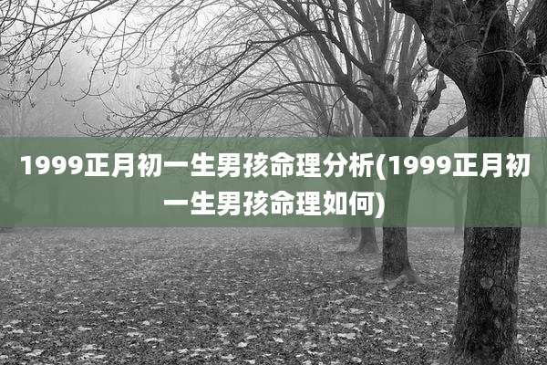 1999正月初一生男孩命理分析(1999正月初一生男孩命理如何)