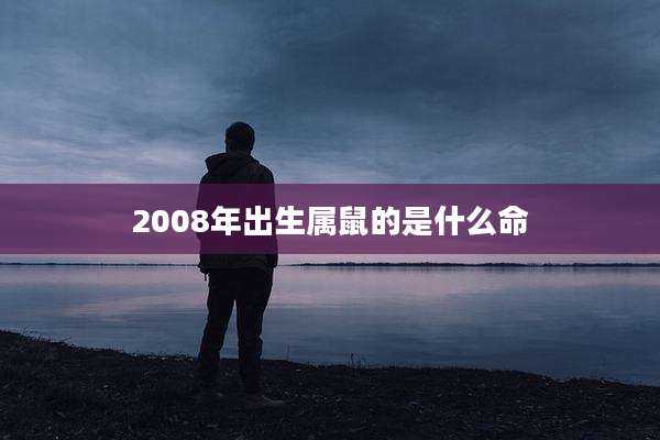 2008年出生属鼠的是什么命