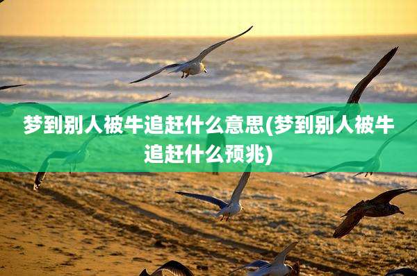 梦到别人被牛追赶什么意思(梦到别人被牛追赶什么预兆)