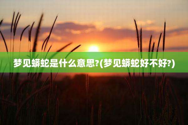 梦见蟒蛇是什么意思?(梦见蟒蛇好不好?)