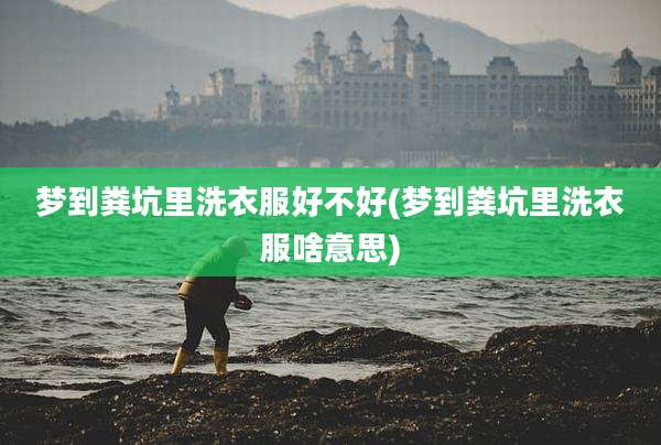 梦到粪坑里洗衣服好不好(梦到粪坑里洗衣服啥意思)