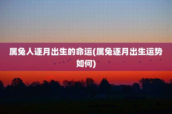 属兔人逐月出生的命运(属兔逐月出生运势如何)