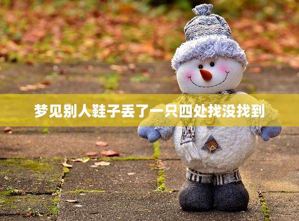 梦见别人鞋子丢了一只四处找没找到