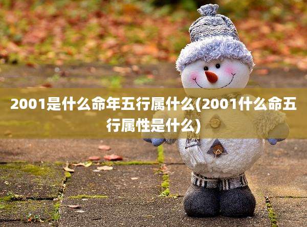 2001是什么命年五行属什么(2001什么命五行属性是什么)