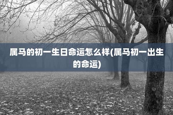 属马的初一生日命运怎么样(属马初一出生的命运)