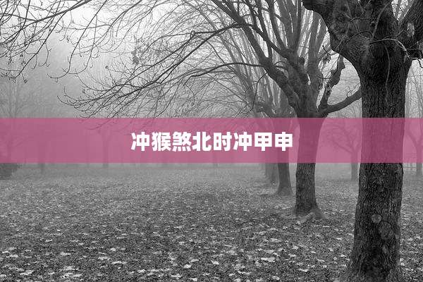 冲猴煞北时冲甲申