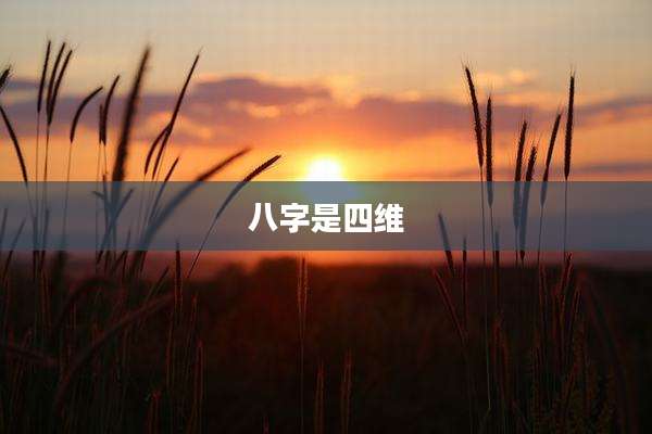 八字是四维