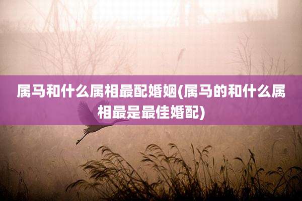 属马和什么属相最配婚姻(属马的和什么属相最是最佳婚配)