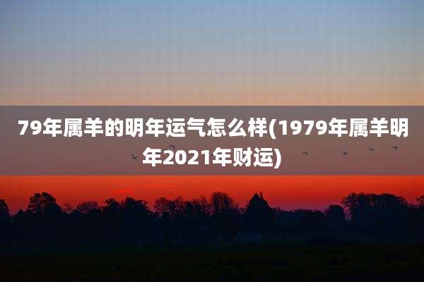 79年属羊的明年运气怎么样(1979年属羊明年2021年财运)