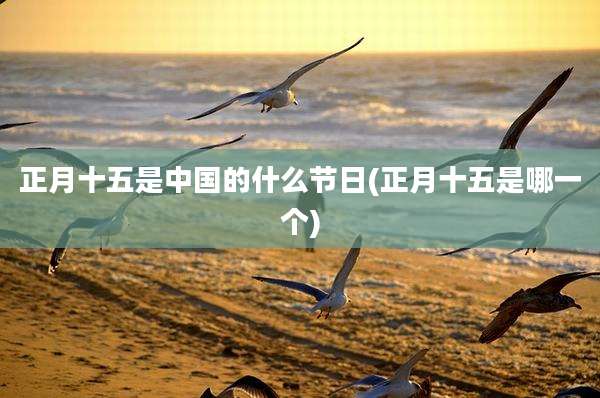 正月十五是中国的什么节日(正月十五是哪一个)