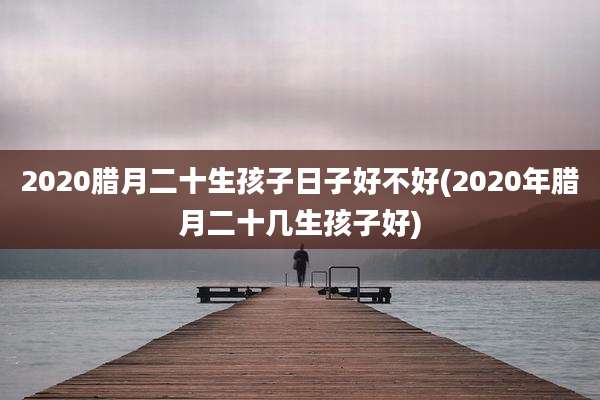 2020腊月二十生孩子日子好不好(2020年腊月二十几生孩子好)