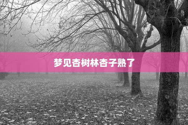 梦见杏树林杏子熟了