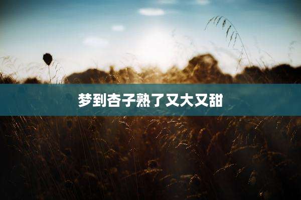 梦到杏子熟了又大又甜